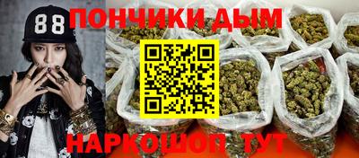 PSILOCYBIN Заводоуковск