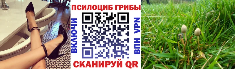 Галлюциногенные грибы ЛСД omg Арзамас