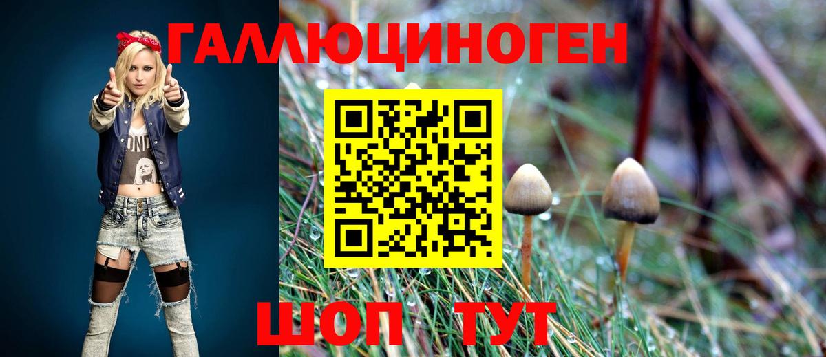 Галлюциногенные грибы Cubensis Арзамас